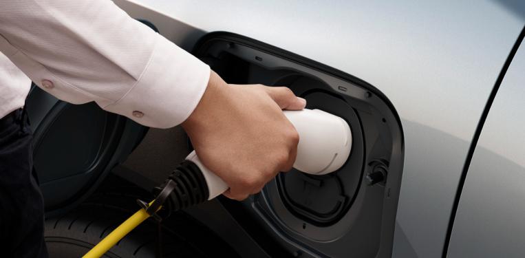Suzuki Guyana: Can I Charge the Suzuki e-Vitara at Home on Standard Island Power?